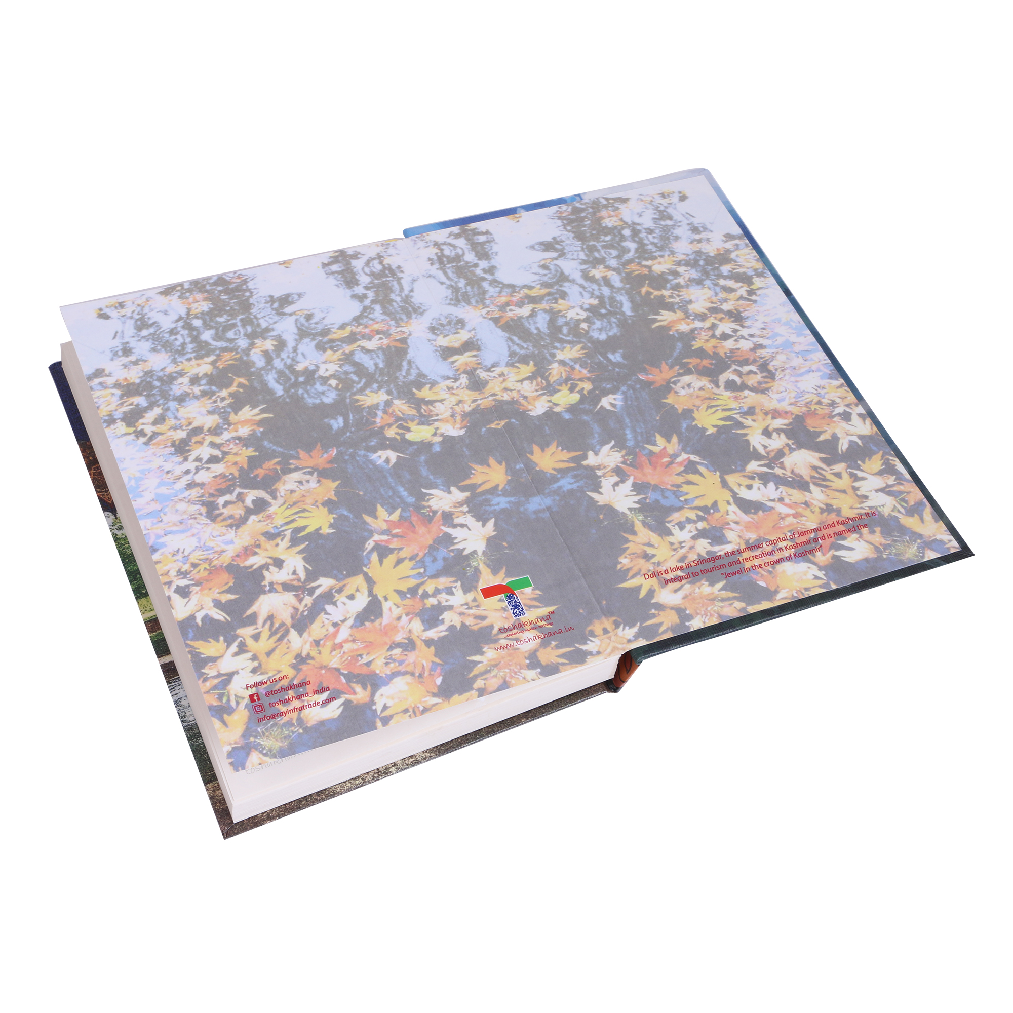 img-fluid